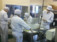 POCHIワン工場内作業
