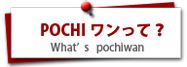 株式会社ＰＯＣＨＩワンについて